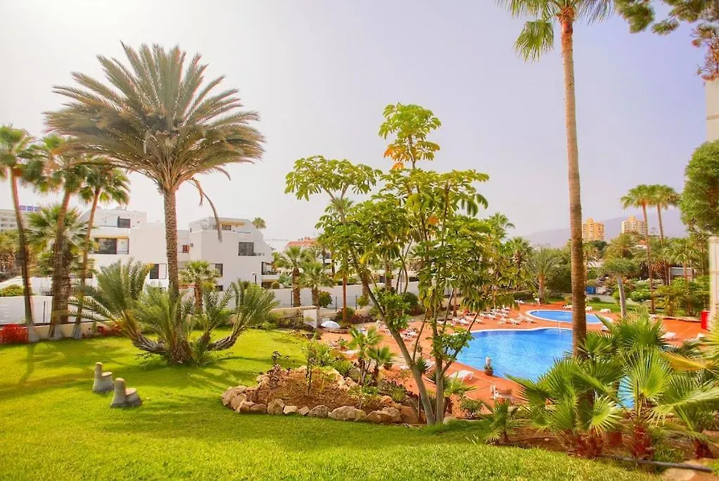 Cecilia Apartmentplaya De Las Americas Spain